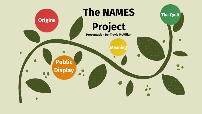 The names project by travis mcmillan