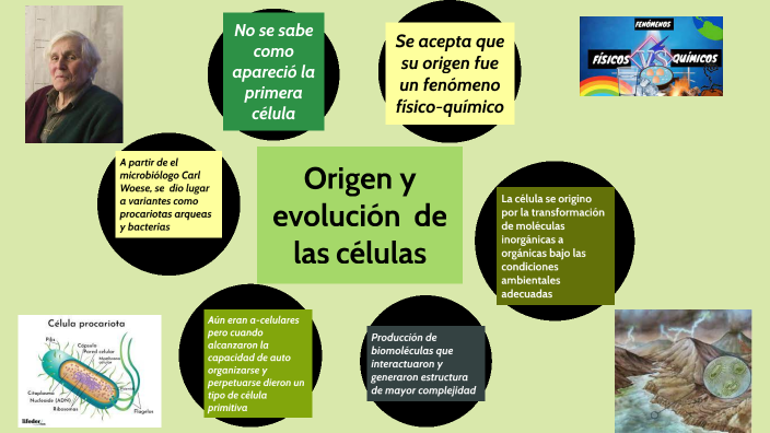 Origen y evolución de las celulas by jared sarahi franco guerra on Prezi