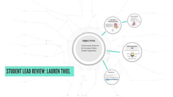 CORONARY ARTERIES, VEINS, AND WALL SEGMENTS by Lauren Thiel