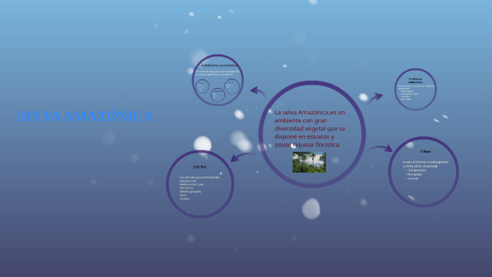 SELVA AMAZÓNICA by Brenda Villada on Prezi