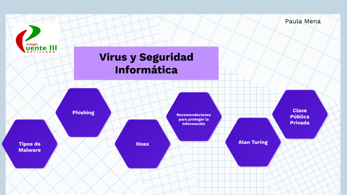 Virus Y Seguridad Informática By Paula Sofía Mena Simón On Prezi Next 8242