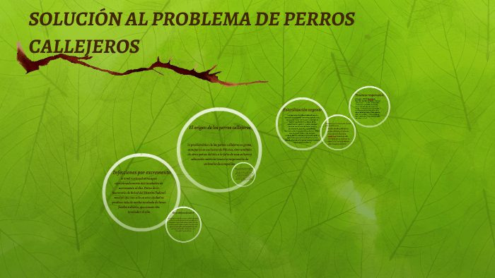 solución al problema de los perros callejeros by Yesica Elston on Prezi