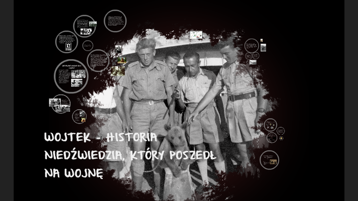 WOJTEK - HISTORIA NIEDŹWIEDZIA, KTÓRY POSZEDŁ NA WOJNĘ by Kuba