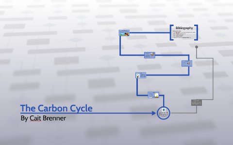 The Carbon Cycle by Caitlyn Brenner on Prezi
