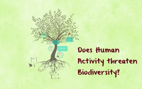 Does Human Activity threaten Biodiversity? by YZ Jiaxin