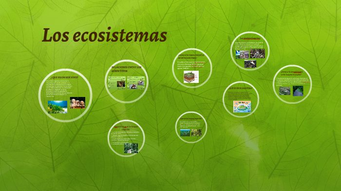 Los ecosistemas by Manuel Asensio Bueno on Prezi