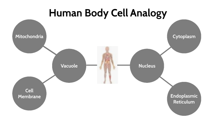 Human Body Cell Analogy by Jonathan Roquemore - Student on Prezi