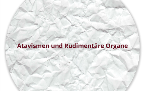 Atavismen und Rudimentaere organe by Kristi Xhani on Prezi