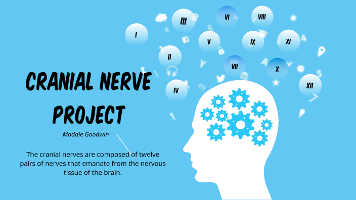 Cranial Nerves Project by Madison Daniels-Goodwin _ Student - Ap on Prezi