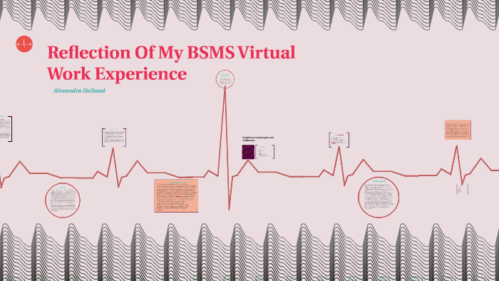 bsms virtual work experience personal statement