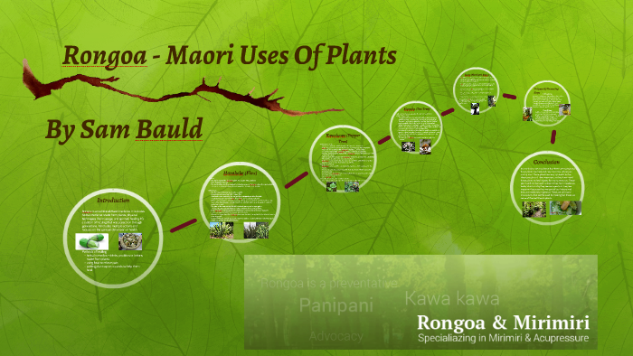 Rongoa - Maori Uses Of Plants by Sam Bauld on Prezi