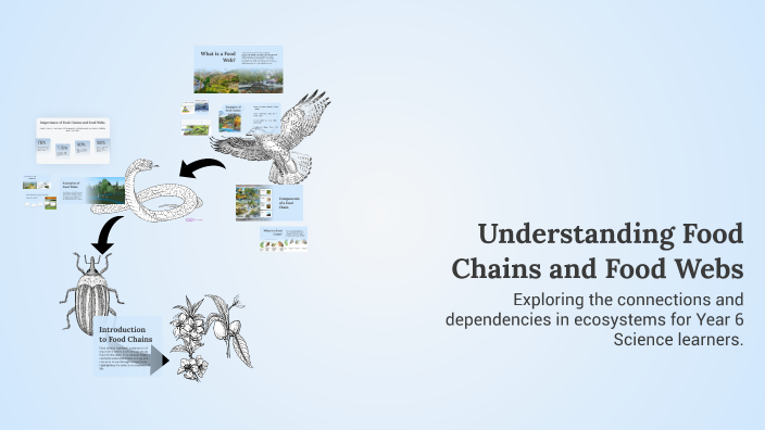 Understanding Food Chains and Food Webs by Myat min Thu zar on Prezi