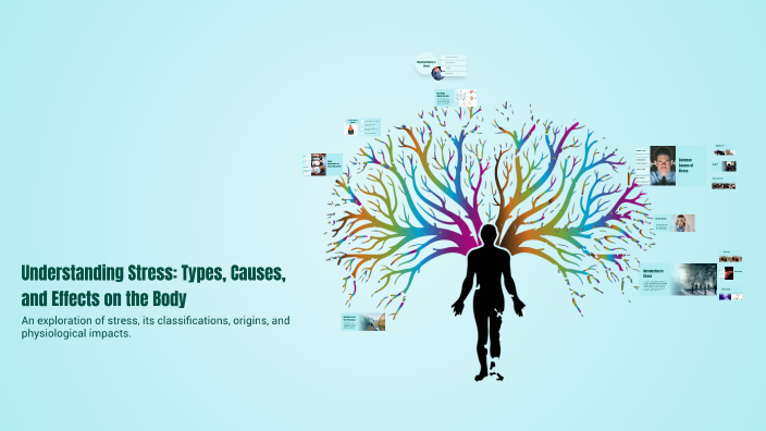 Understanding Stress: Types, Causes, and Effects on the Body by ...