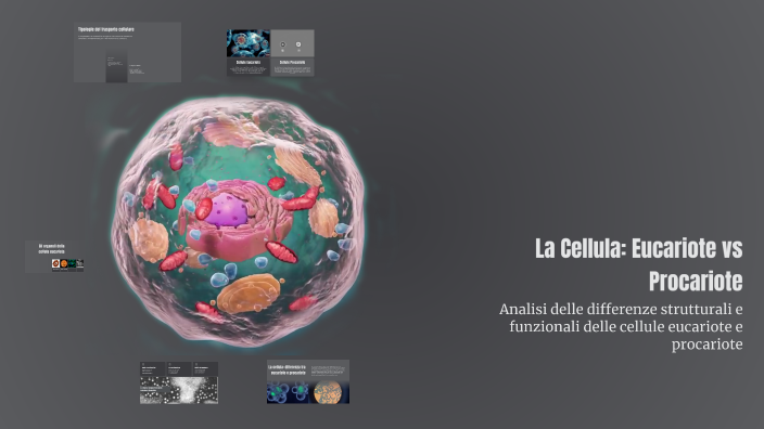 La Cellula: Eucariote vs Procariote by Ilaria Casati on Prezi