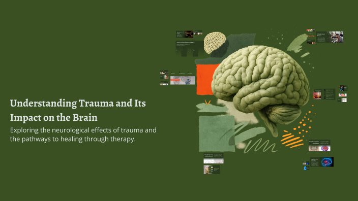 Understanding Trauma and Its Impact on the Brain by Olivia taminiau on ...
