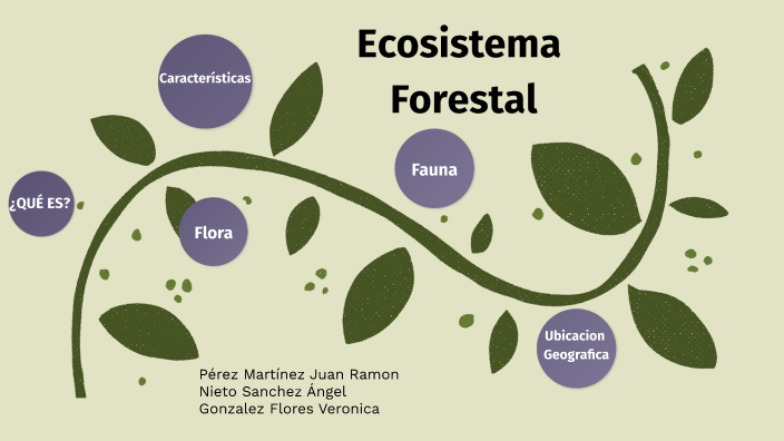 Ecosistema Forestal by Ramón P Martinez on Prezi