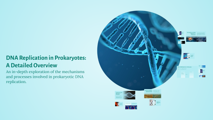 DNA Replication in Prokaryotes: A Detailed Overview by Microbiology ...