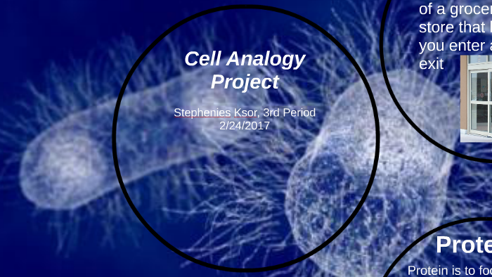 Cell Analogy Project By Stephenies Ksor