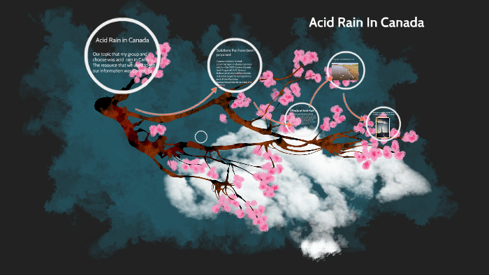 case study of acid rain in canada