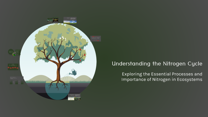 Understanding the Nitrogen Cycle by Daliah Wedderburn on Prezi
