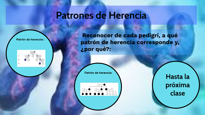 Patrones De Herencia By Tefy Gisselle On Prezi