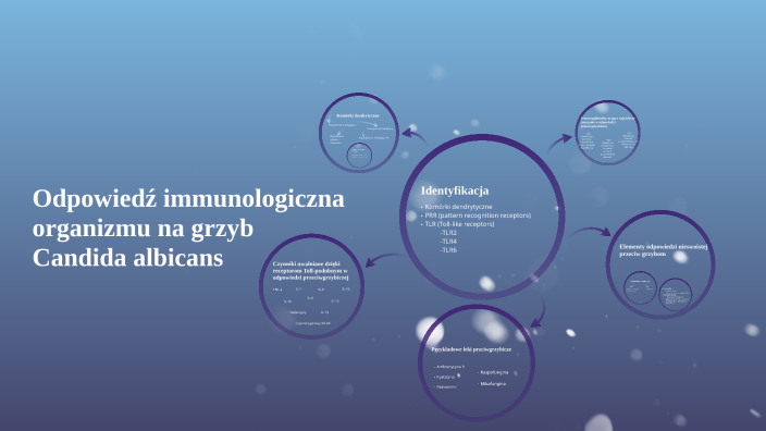 Odpowiedź immunologiczna organizmu na grzyb Candida albicans by