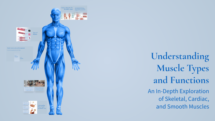 Mustafa's Types Understanding Muscle Types and Functions by Mustafa Mohamad on Prezi