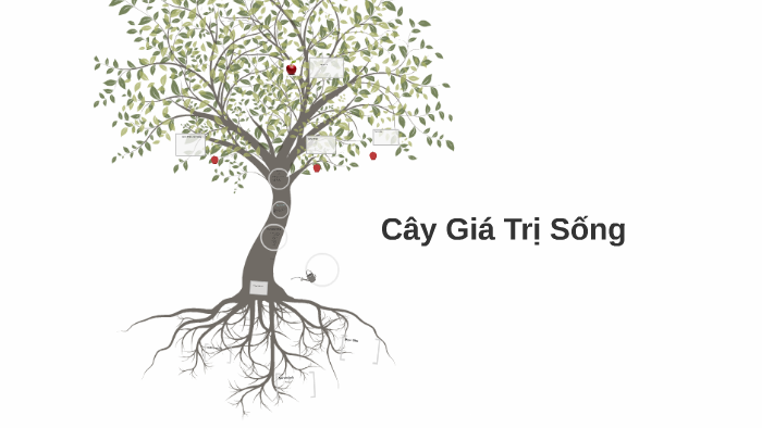 Cây Giá Trị Sống by Bell Tin on Prezi