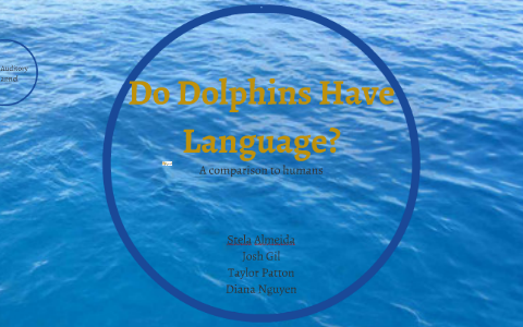 Do Dolphins Have Language? by Stela Almeida on Prezi