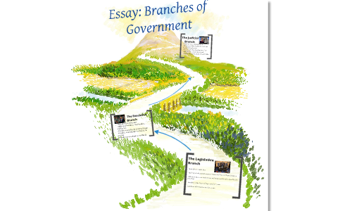 government branches essay