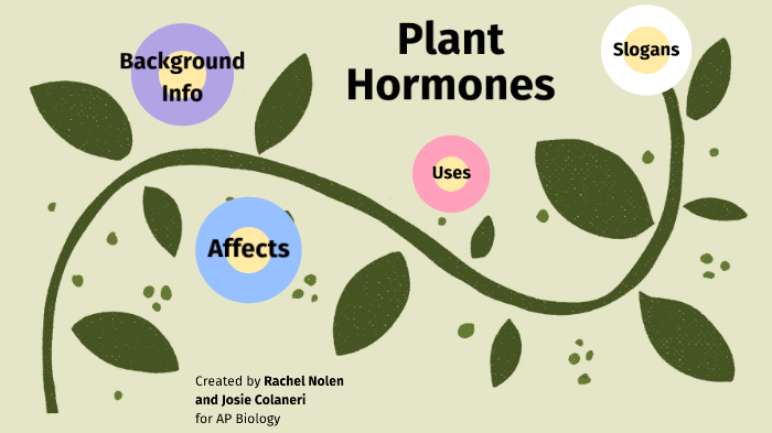 PLANT HORMONES. - ppt download