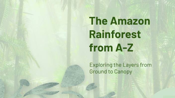 The Amazon Rainforest from A-Z by Magnus Aaser on Prezi