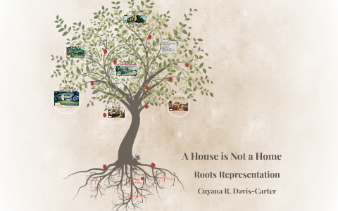 A House is Not a Home... by