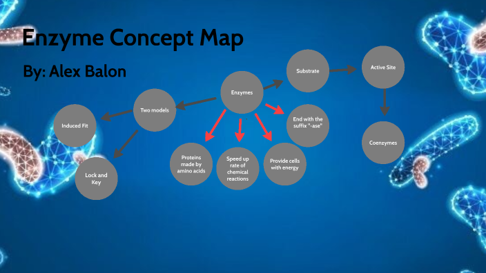 Enzymes Concept Map by Alexander Balon