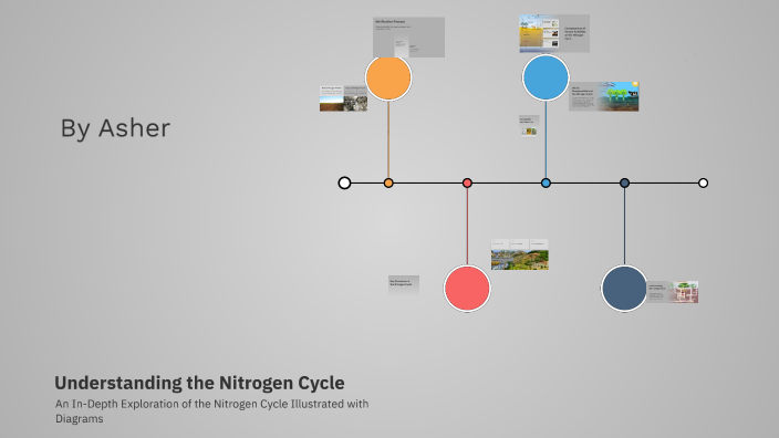 Understanding the Nitrogen Cycle by Christon Asher on Prezi