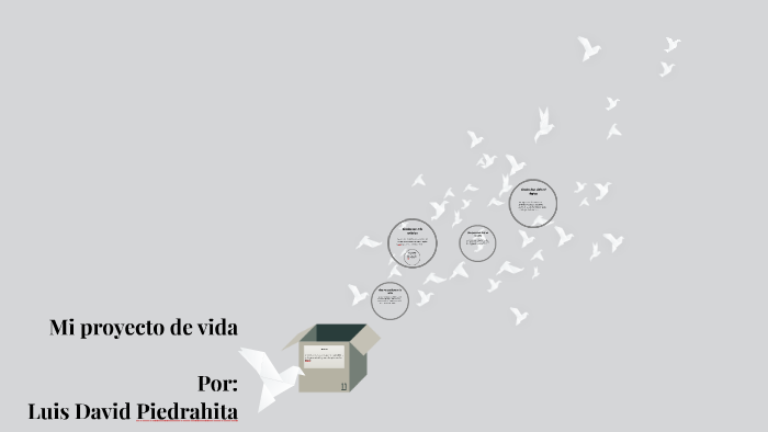 mi proyecto de vida by luis david piedrahita on Prezi