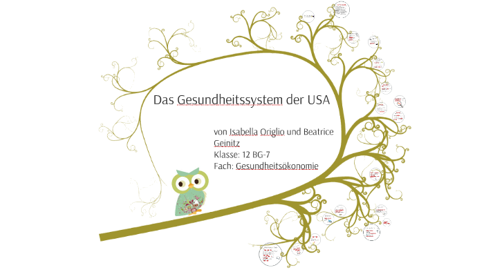 Das Gesundheitssystem Der USA Im By Beatrice Ge On Prezi