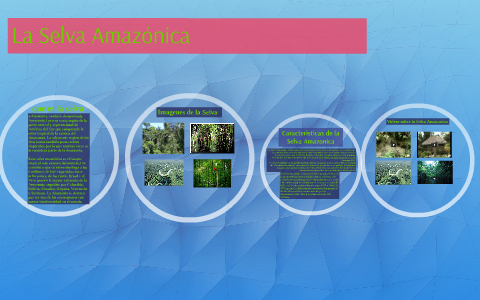 La Selva Amazonica by brayan acosta on Prezi