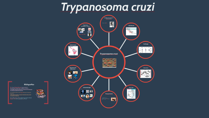 mapa mental by Daniel Miranda on Prezi Next