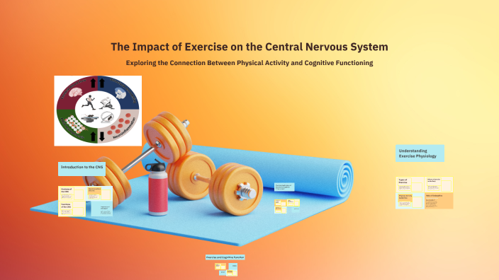 The Impact of Exercise on the Central Nervous System by davood sabour ...