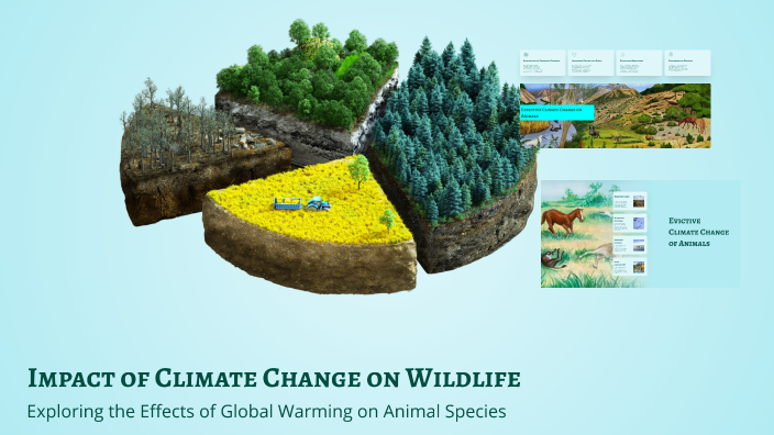 Impact of Climate Change on Wildlife by المدثر مدثر on Prezi
