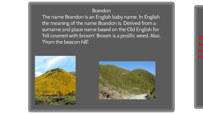 BRANDON name meaning, BRANDON name