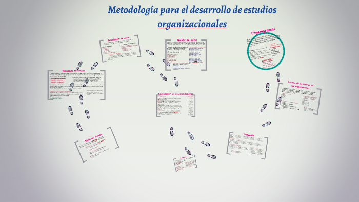 metodologia para el desarrollo de estudios organizacionales by perla ...