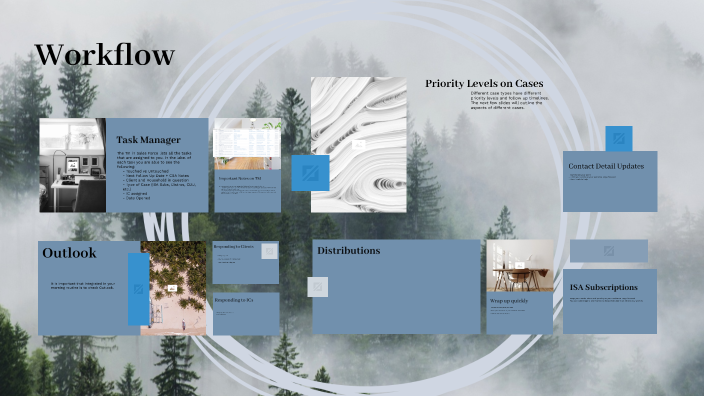 Workflow Presentation by Sreelakshmi Rajesh on Prezi
