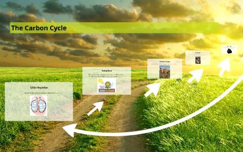 The Carbon Cycle by Braden Butler on Prezi