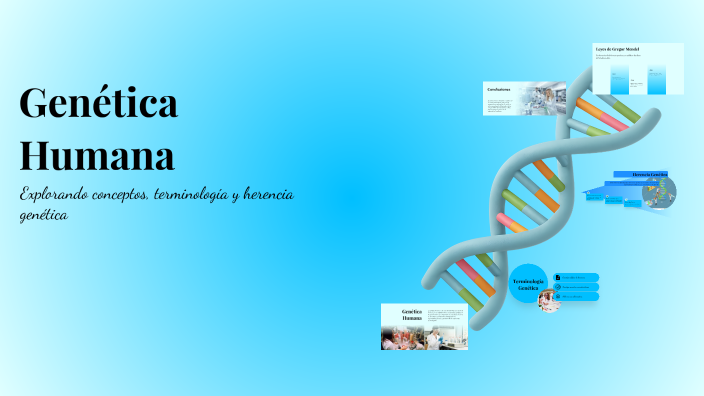 Genética Humana by Alejandra Acuña on Prezi