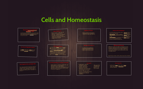 Cells and Homeostasis by Andrew Adamo on Prezi Next