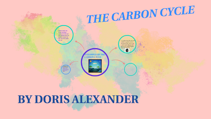 THE CARBON CYCLE by doris alexander on Prezi
