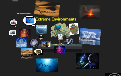 Extreme Environments by Ciara McManus