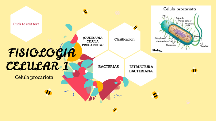 Fisiología celular by kriss tuesta